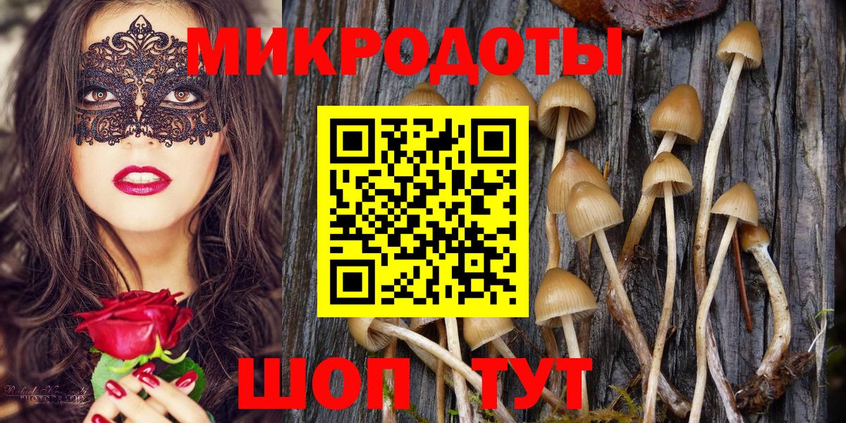 Галлюциногенные грибы прущие грибы  Вход с VPN  Калининград 