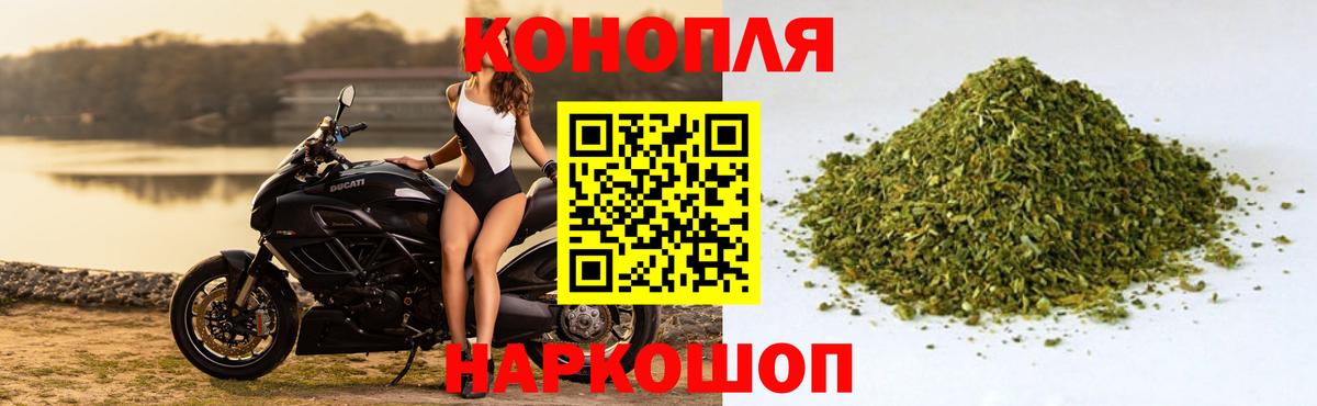 Шишки марихуана сатива  Шишки марихуана планчик  Калининград  Вход с VPN  Шишки марихуана SATIVA & INDICA 