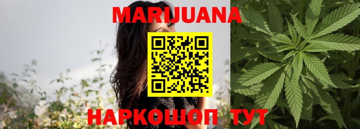 МАРИХУАНА сатива Калининград